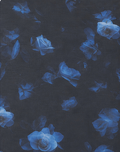 Navy Blue Watercolor Floral chiffon, print close up