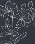 White Outline Floral on Navy crepe, print close up